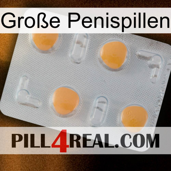 Große Penispillen 24